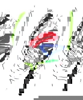 bekkenbodemklachten - ligging van de bekkenbodemspieren.jpg