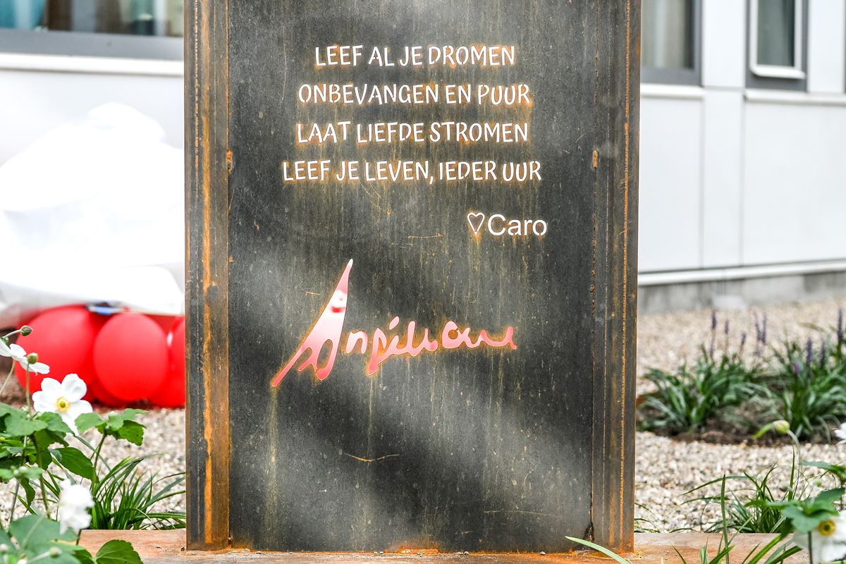 Oncologisch centrum - ontmoetingstuin_05