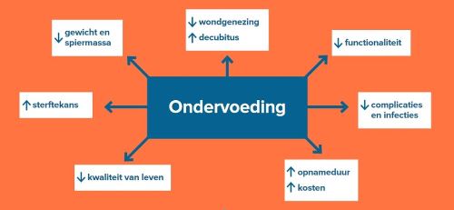 Schema ondervoeding