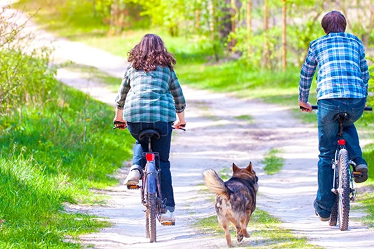 Allergologie - fietsend stel Allergologie - fietsend stel