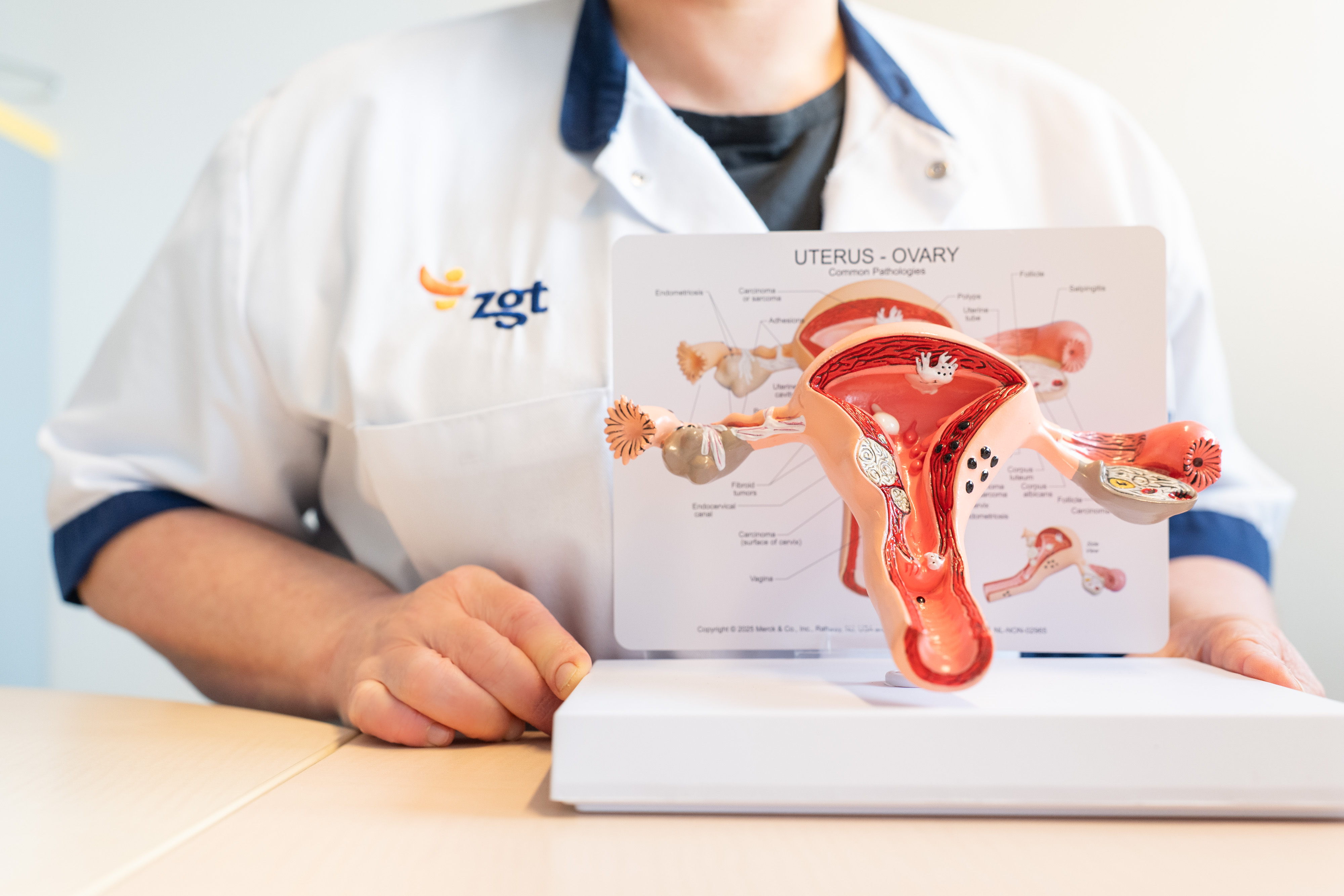 Endometriose gynaecologie - klein.jpg