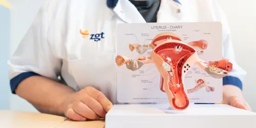 Endometriose gynaecologie - klein.jpg