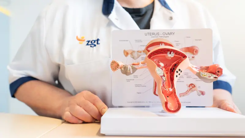 Endometriose gynaecologie - klein.jpg